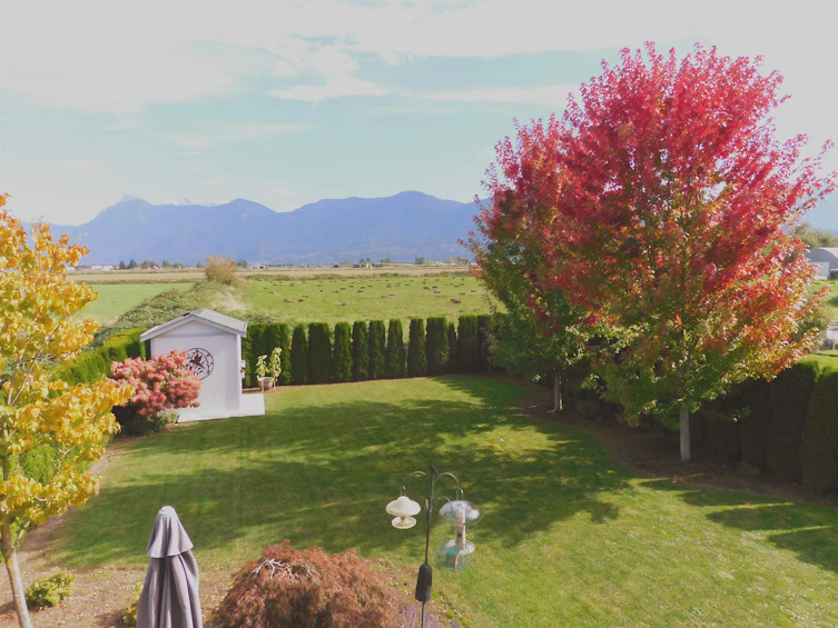8562 Broadway Street, Chilliwack, BC, V2P 5V5 - 39