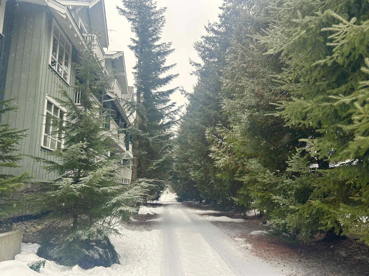 308-4405 Blackcomb Way, Whistler, BC, V8E 0X7 - 10