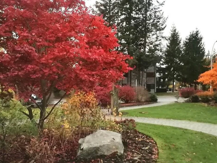 102-15020 North Bluff Road, Surrey, BC, V4B 5A4 - 34