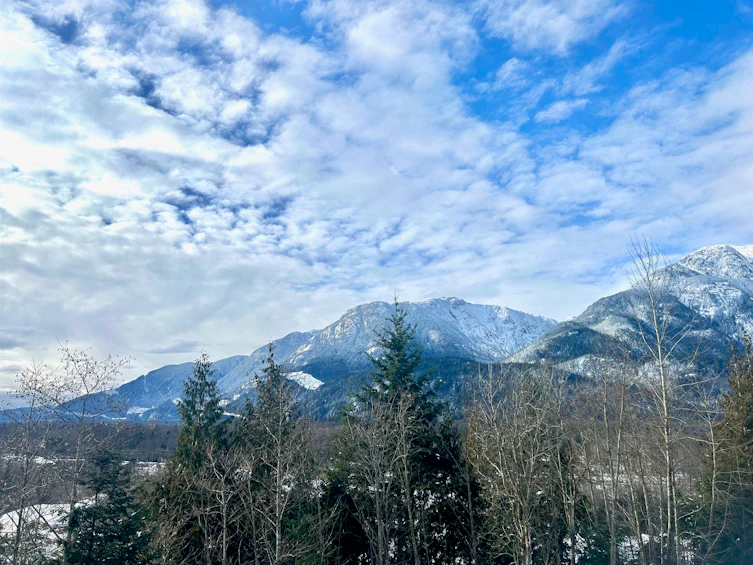 41205 Highline Place, Squamish, BC, V8B 1C2 - 3