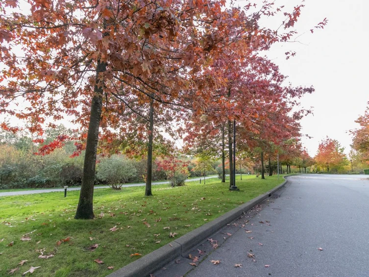 TH16-2345 Madison Avenue, Burnaby, BC, V5C 0B3 - 19