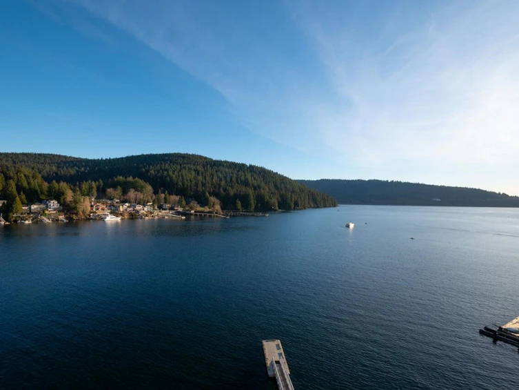 242 Turtlehead Road, Port Moody, BC, V3H 4P2 - 25
