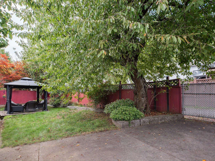 1385 Yarmouth Street, Port Coquitlam, BC, V3C 5P9 - 33