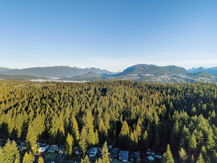 2579 Burian Drive, Coquitlam, BC, V3K 5W8 - 33
