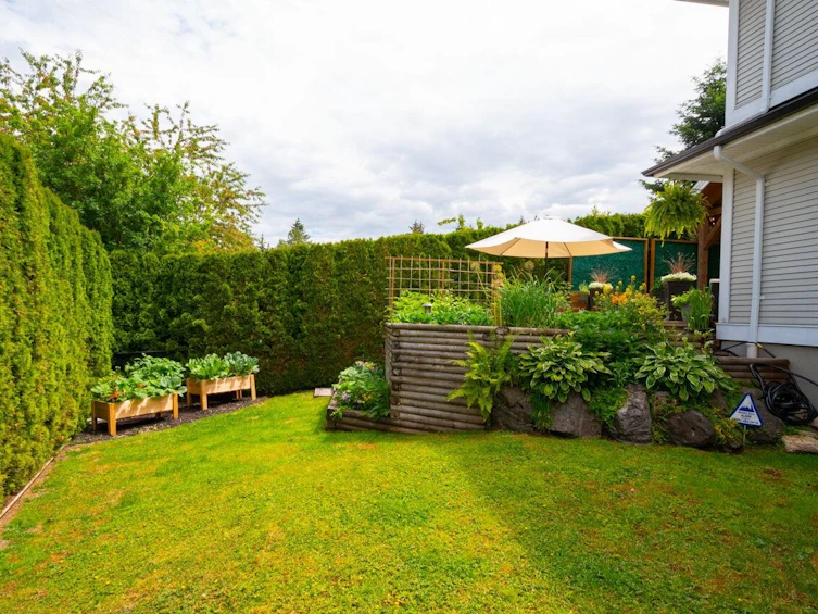 10682 240a Street, Maple Ridge, BC, V2W 2B1 - 36