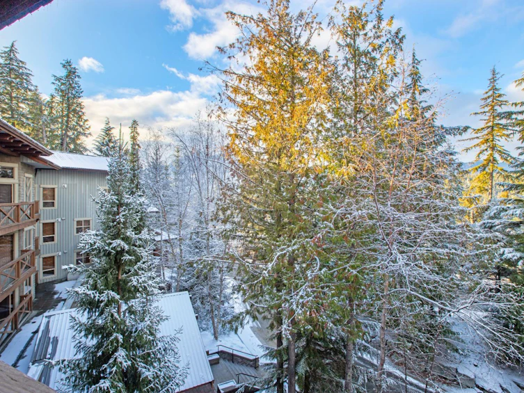 413 G1-4653 Blackcomb Way, Whistler, BC, V8E 0Y9 - 7