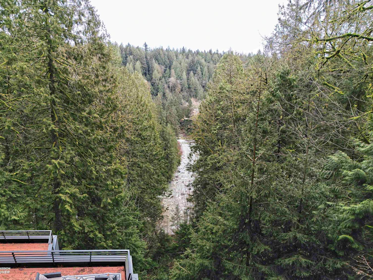 14230 Silver Valley Road, Maple Ridge, BC, V4R 2R3 - 4