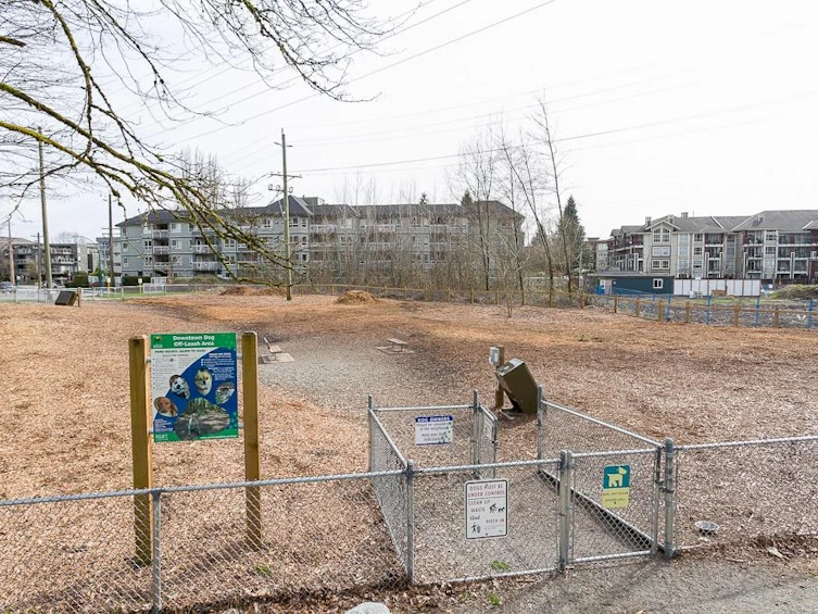 203-2339 Shaughnessy Street, Port Coquitlam, BC, V3C 3E2 - 30