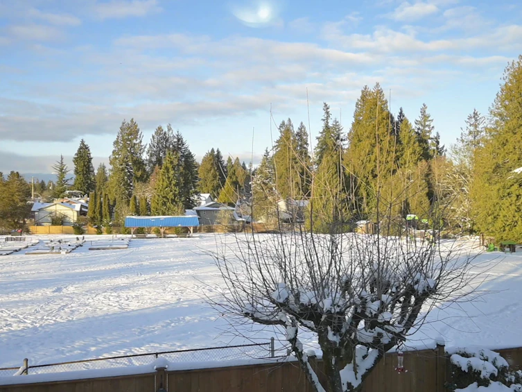 20413 90a Avenue, Langley, BC, V1M 1A9 - 34