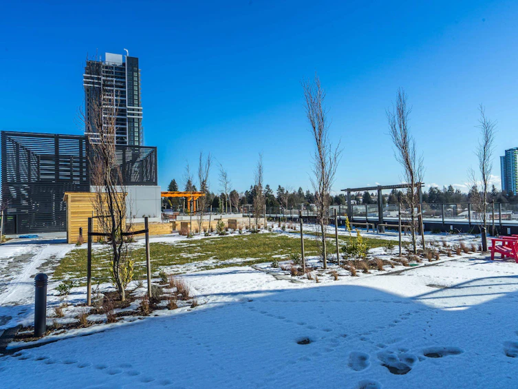 3204-10750 135a Street, Surrey, BC, V3T 0V4 - 38