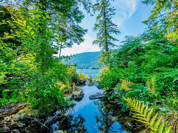 2250 Farrer Cove Place, Port Moody, BC, V3H 5B6 - 32