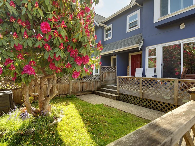 88 W 16th Avenue, Vancouver BC V5Y 1Y6