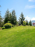 43620 Bracken Drive
