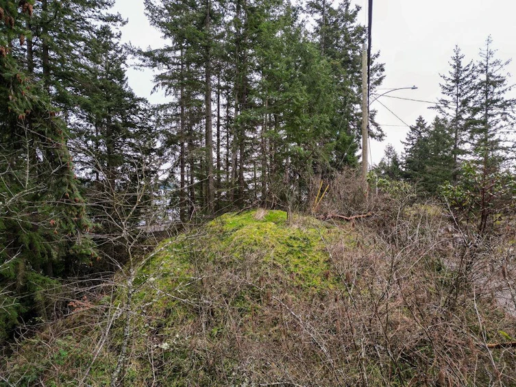 Lot A Skyline Drive, Gibsons, BC, V0N 1V8 - 10