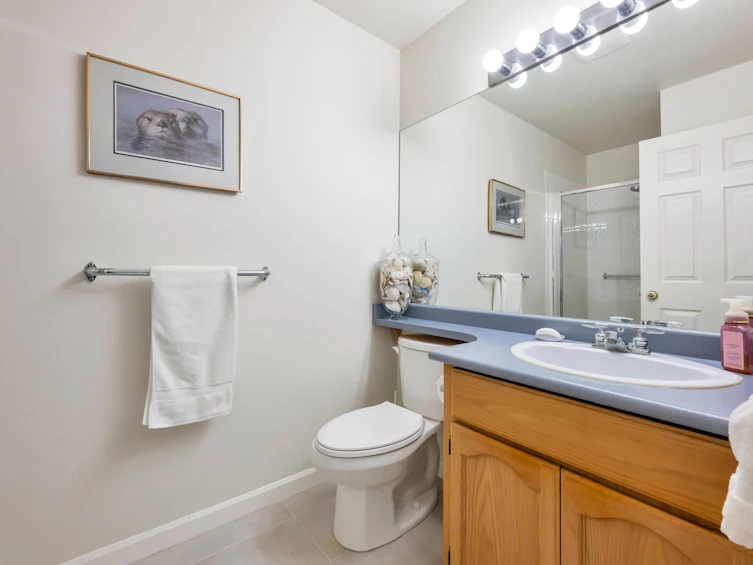 98-9012 Walnut Grove Drive, Langley, BC, V1M 2K3 - 26
