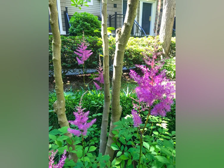 23-5605 Hampton Place, Vancouver, BC, V6T 2H2 - 33