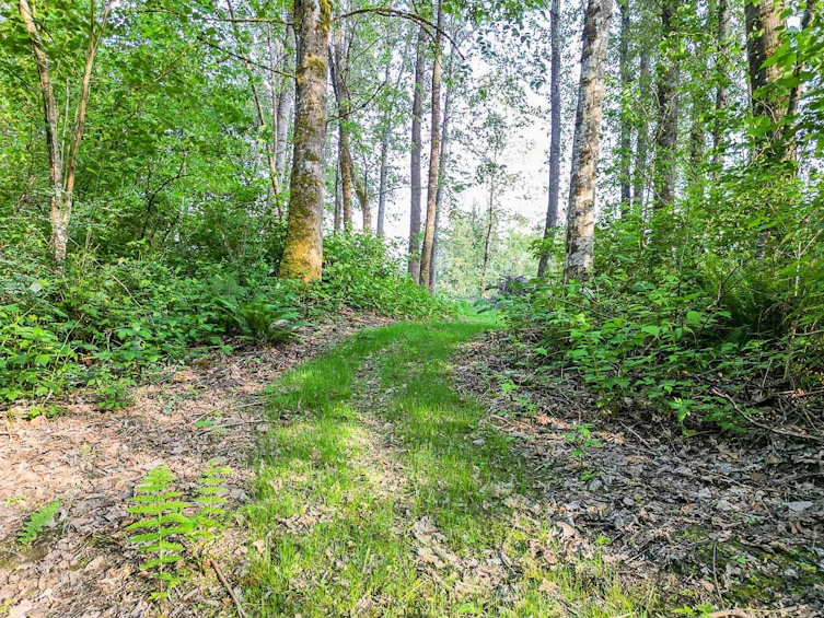 44190 Malcolm Road, Mission, BC, V0M 1N0 - 33