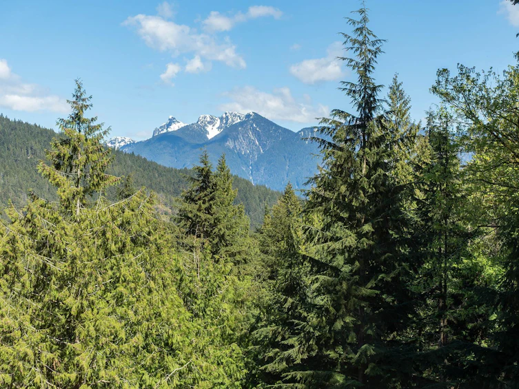 775 Carter Road, Bowen Island, BC, V0N 1G1 - 34
