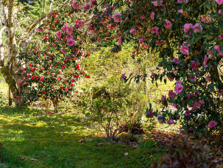 775 Carter Road, Bowen Island, BC, V0N 1G1 - 35