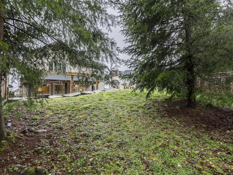10072 247b Street, Maple Ridge, BC, V2W 0H1 - 38
