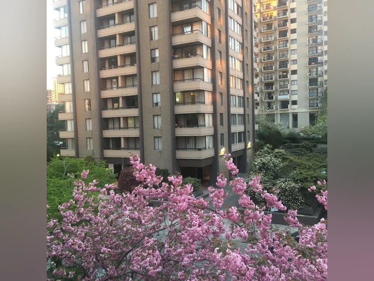 405-1146 Harwood Street, Vancouver, BC, V6E 3V1 - 28