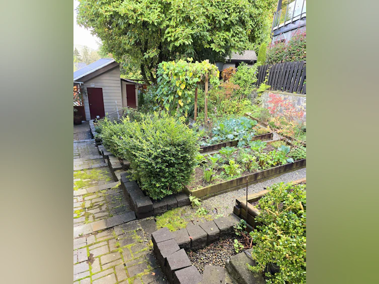 15 Elsdon Bay, Port Moody, BC, V3H 3Z2 - 34