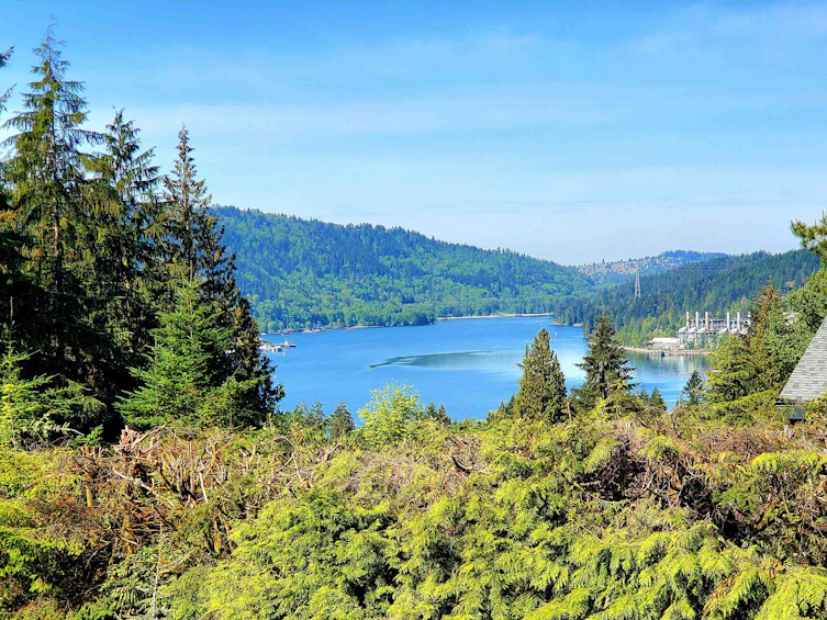 15 Elsdon Bay, Port Moody, BC, V3H 3Z2 - 14
