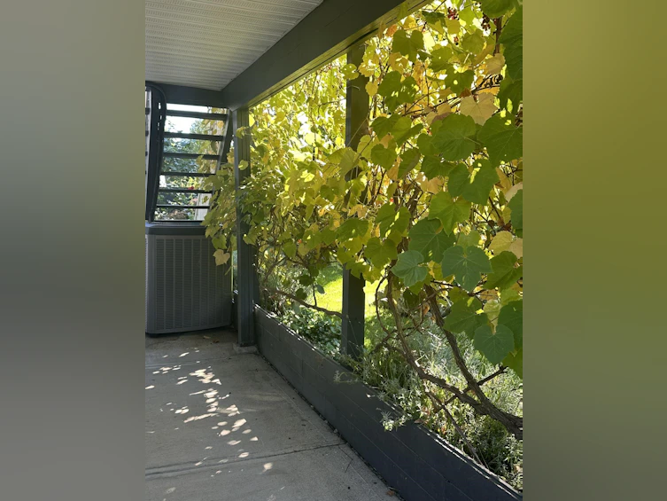 27080 27 Avenue, Langley, BC, V4W 3E7 - 33