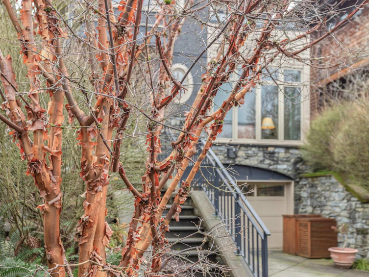4767 Trafalgar Street, Vancouver, BC, V6L 2M8 - 38