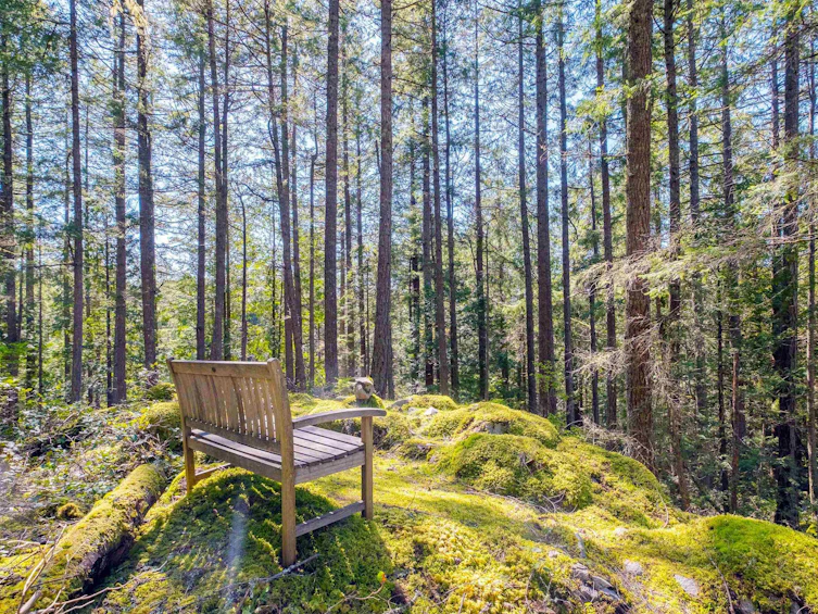 1570 Douglas Road, Bowen Island, BC, V0N 1G2 - 7