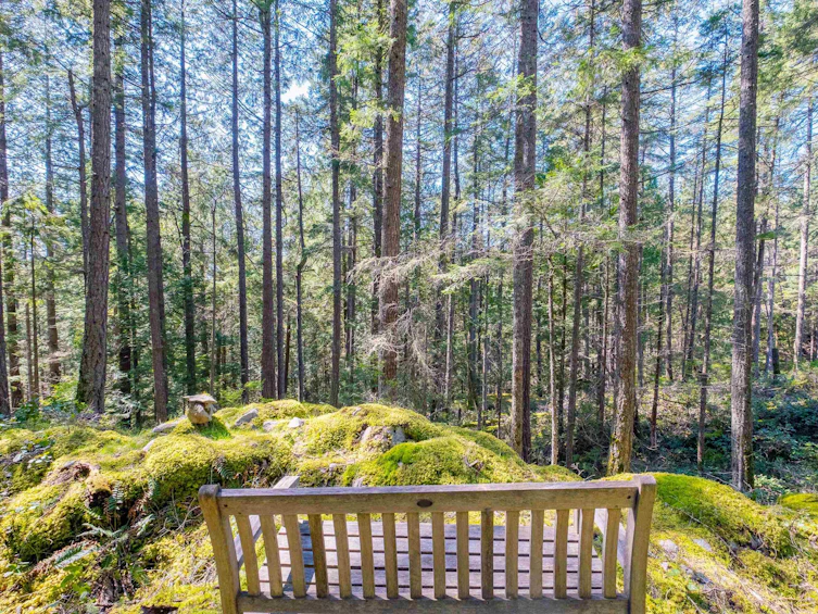 1570 Douglas Road, Bowen Island, BC, V0N 1G2 - 9