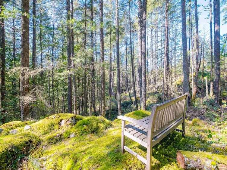 1570 Douglas Road, Bowen Island, BC, V0N 1G2 - 8