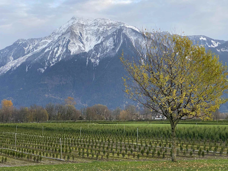 10-7319 Morrow Road, Agassiz, BC, V0M 1A2 - 36