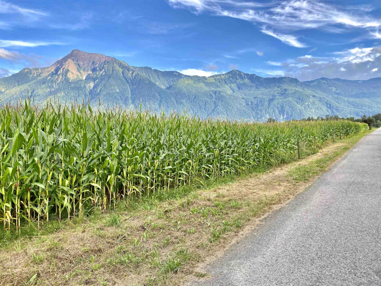 10-7319 Morrow Road, Agassiz, BC, V0M 1A2 - 37