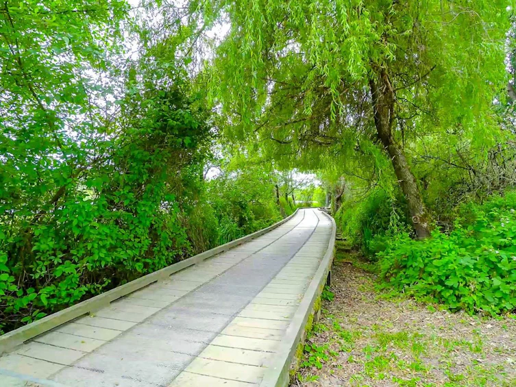 6075 Burns Street, Burnaby, BC, V5H 1X3 - 40