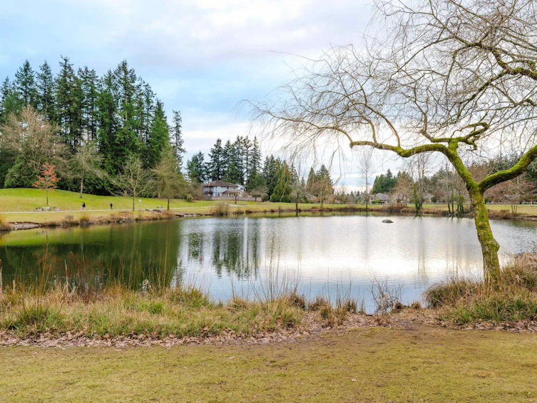 6079 W Boundary Drive, Surrey, BC, V3X 2A7 - 39