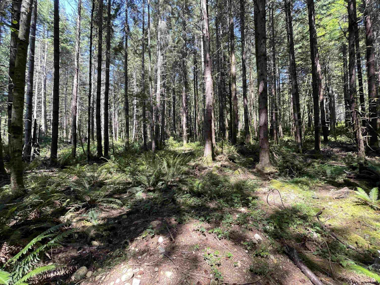 Lot 1&E Firburn Road, Gibsons, BC, V0N 2W5 - 7