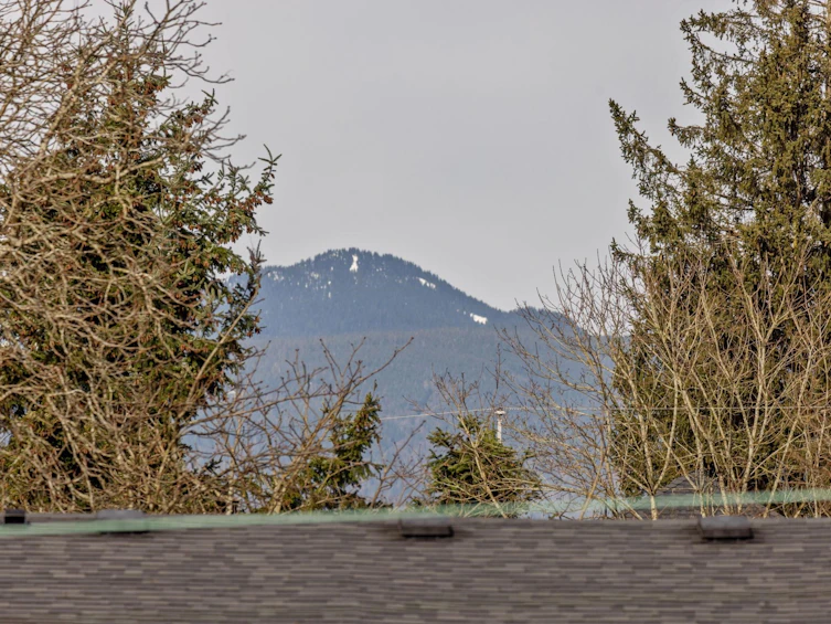 3963 W 23rd Avenue, Vancouver, BC, V6S 1L1 - 39