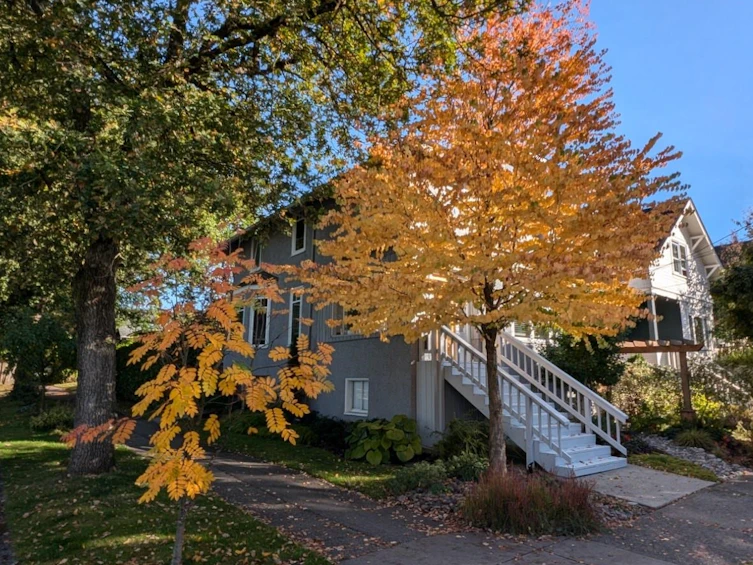 3904 Inverness Street, Vancouver, BC, V5V 4W3 - 38