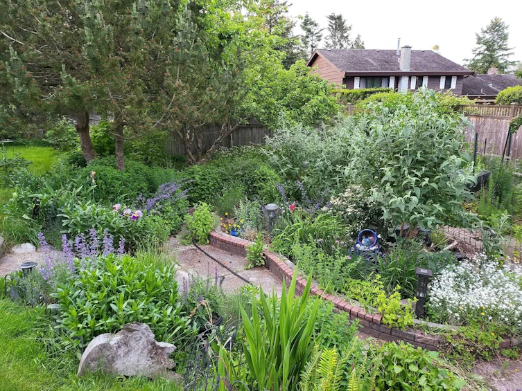 556 Tralee Place, Delta, BC, V4M 3V7 - 35