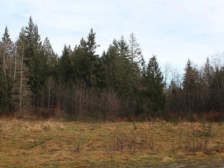 508 Pratt Road, Gibsons, BC, V0N 1V4 - 8