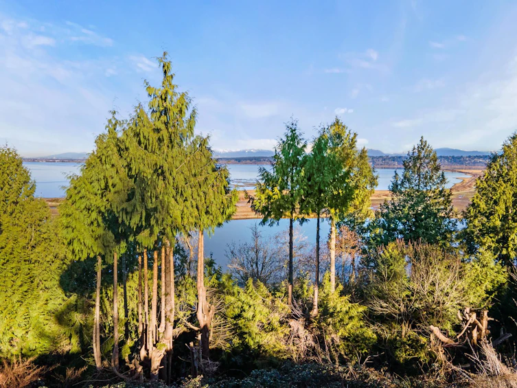 13021 Crescent Road, Surrey, BC, V4P 1J6 - 4