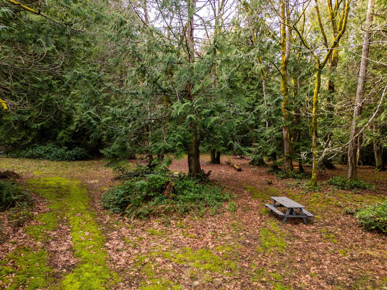 3201 Armadale Road, Pender Island, BC, V0N 2M1 - 38
