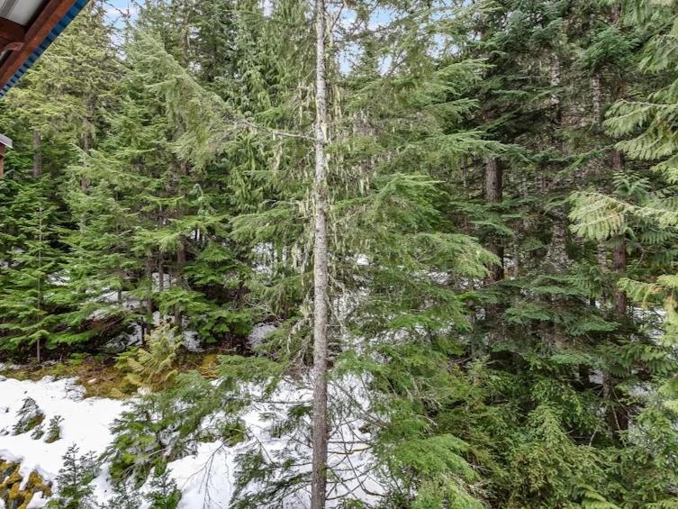 404 G4-4653 Blackcomb Way, Whistler, BC, V8E 0Y9 - 6