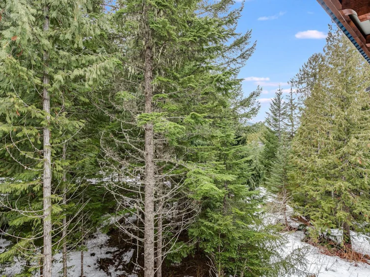 404 G4-4653 Blackcomb Way, Whistler, BC, V8E 0Y9 - 5