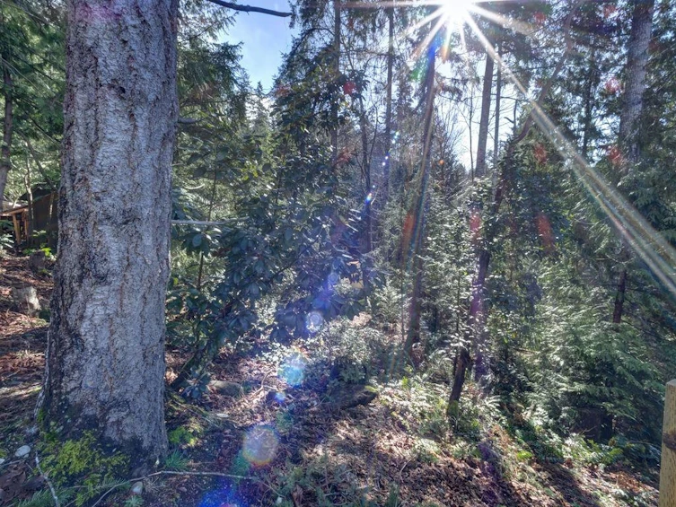 LOT 71 Klahanie Drive, Sechelt, BC, V7Z 0C8 - 6