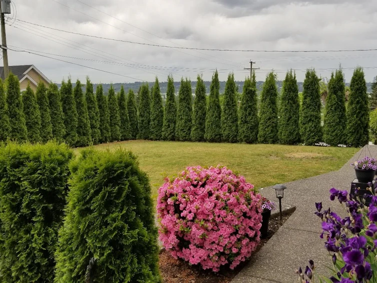 316 Begin St, Coquitlam, BC, V3K 4V8 - 3
