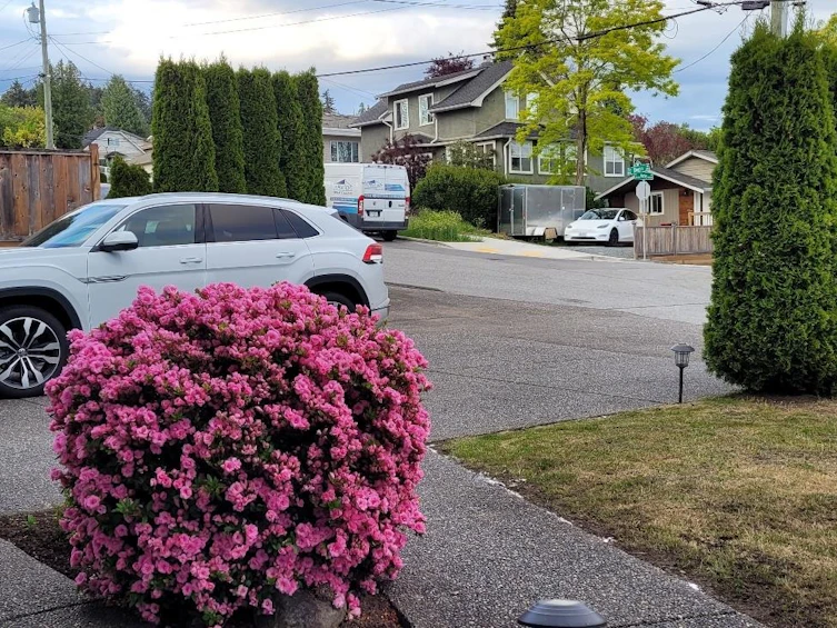 316 Begin St, Coquitlam, BC, V3K 4V8 - 39