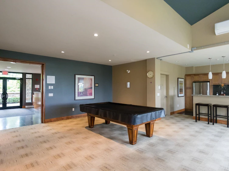 316-3050 Dayanee Springs Boulevard, Coquitlam, BC, V3E 0A2 - 33