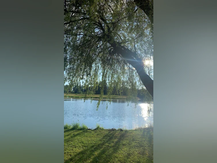98-8400 Shook Road, Mission, BC, V2V 7L5 - 16